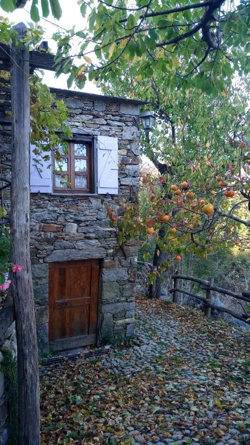Casa Millin Apartman Borzonasca Kültér fotó