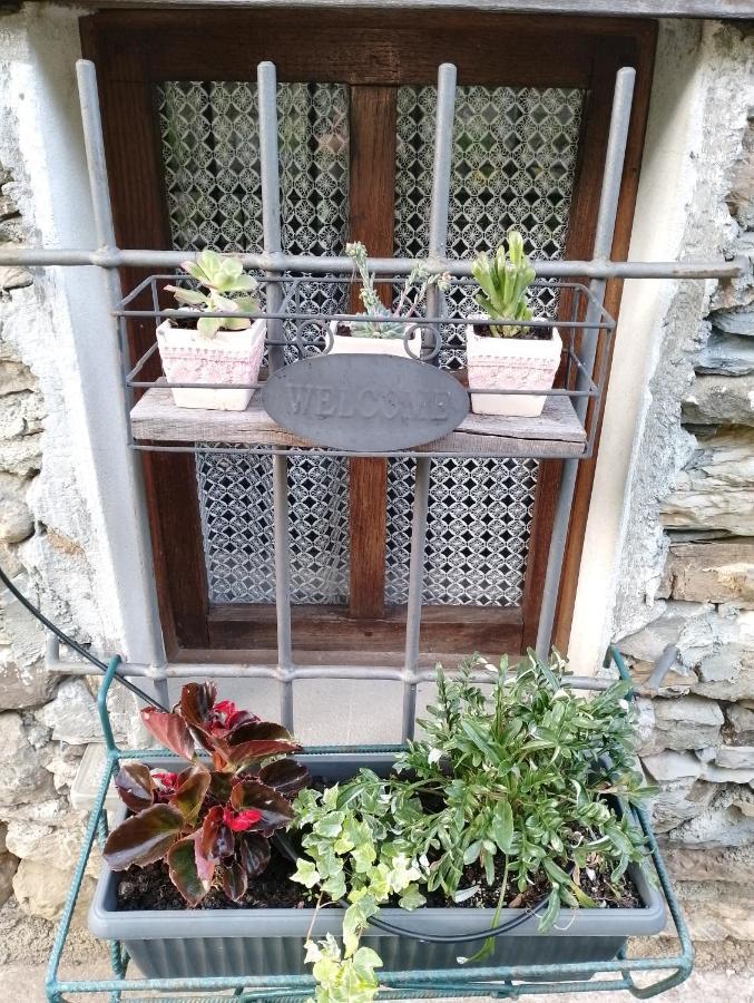 Casa Millin Apartman Borzonasca Kültér fotó