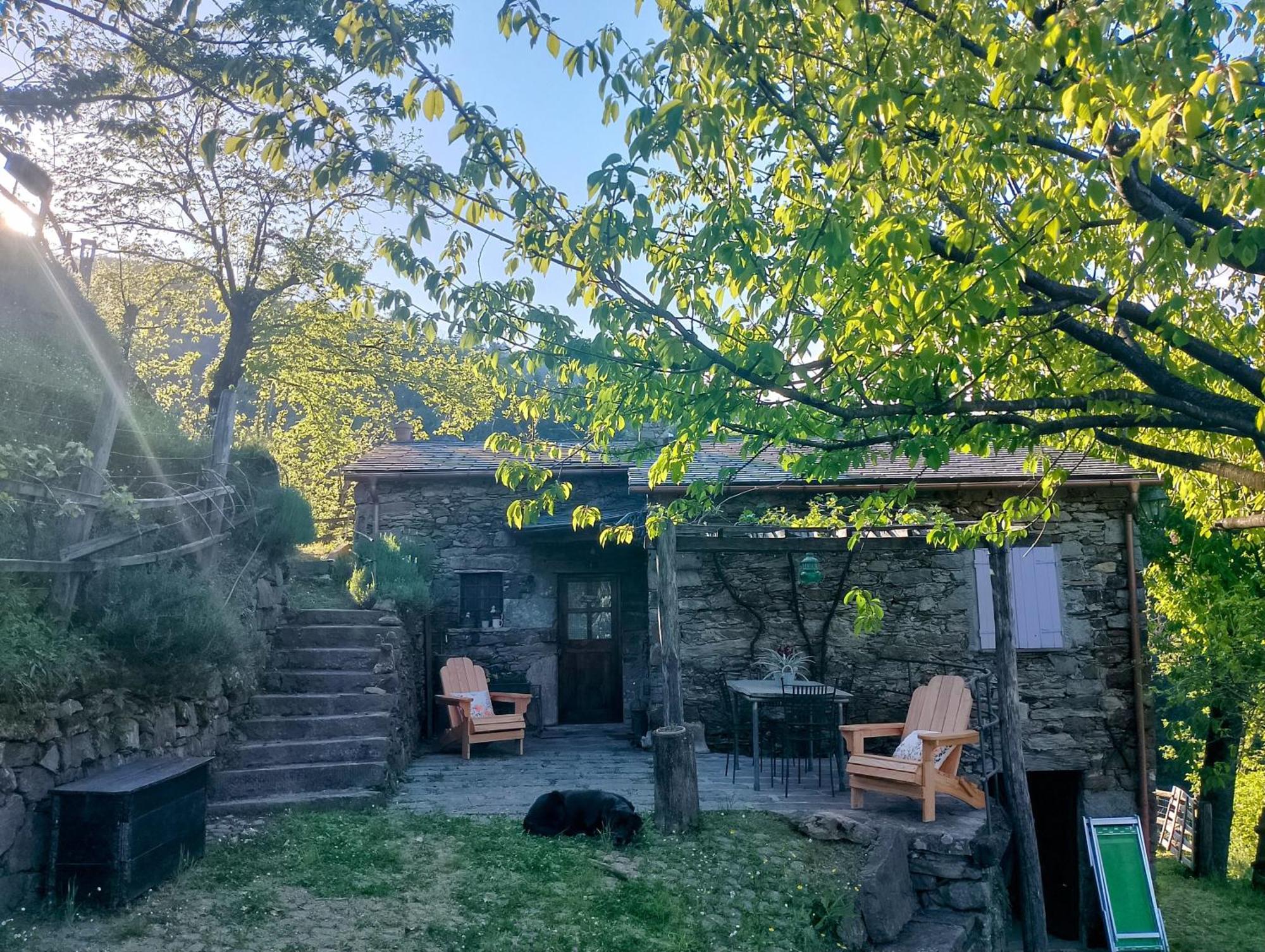 Casa Millin Apartman Borzonasca Kültér fotó