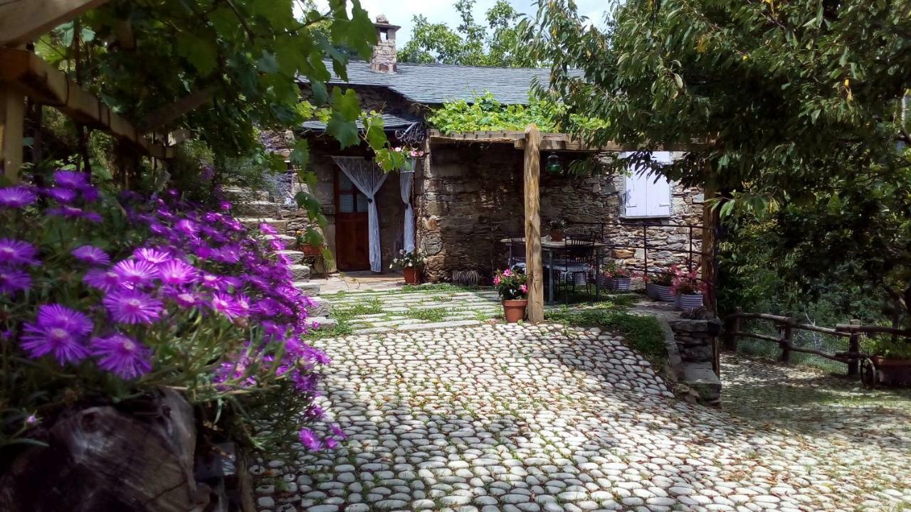 Casa Millin Apartman Borzonasca Kültér fotó